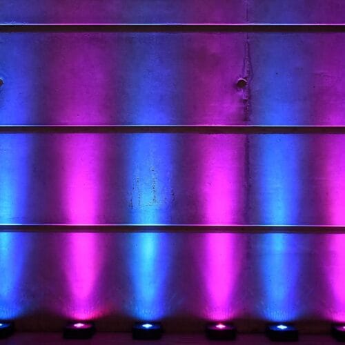 ape labs uplights (8 stk)